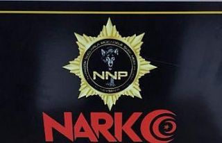 Uyuşturucu taciri tutuklandı