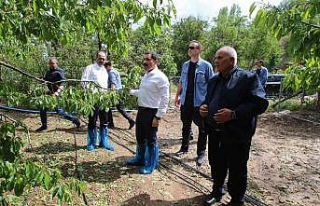 Vali Masatlı’dan sağanak yağış ve dolunun vurduğu...