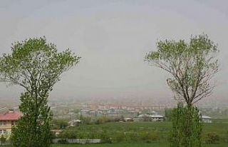 Van toz bulutuyla kaplandı