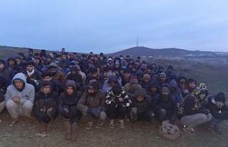 Van’da 101 düzensiz göçmen yakalandı