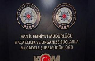 Van’da 97,5 kilogram kaçak trüf mantarı ele geçirildi