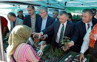 Vatandaşa 82 bin fide dağıtıldı