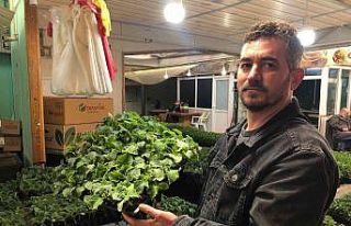 Vatandaşlar kendi sebzelerini üretmek için fideye...