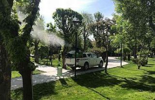 Vektörel mücadele çalışmaları aralıksız sürüyor