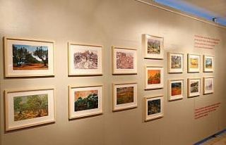 “Vıncent Van Gogh İle Birlikte Zeytin Ağaçları...