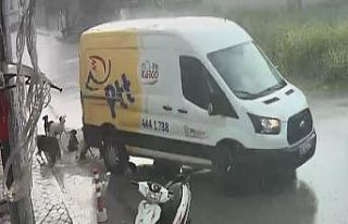 Yağmurdan sığınmak için girdikleri aracın altında...