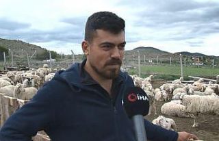 Yaklaşan Kurban Bayramı öncesi kurbanlık fiyatları...