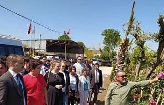 Yalova’da öğrenciler süs bitkilerini tanıdılar