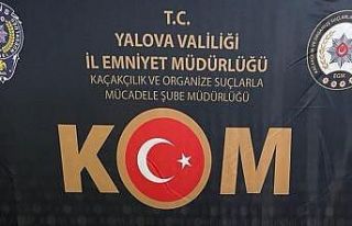 Yalova’daki müsilaj operasyonunda 20 gözaltı