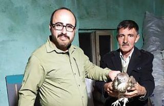 Yaralı bulunan arı şahini AKÜREM’de tedavi altına...