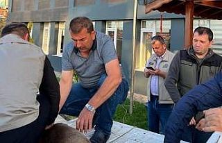 Yaralı karacaya ormancılar sahip çıktı