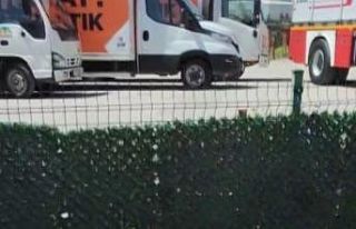 Yavrusu kurtarılana kadar başında bekledi