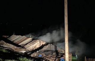 Yayla evi alevlere teslim oldu