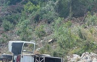 Yaylaya giden kamyonet şarampole yuvarlandı: 1 yaralı