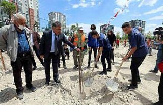 Yenimahalle’de 200 çam ve sedir dikildi