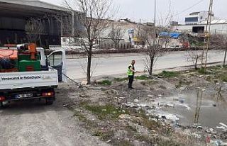 Yenimahalle’de larva mücadelesi