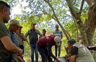 Yenipazar’da yaban hayatı için su yalakları yerleştirildi