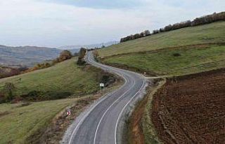 Yoldan büyük tasarruf