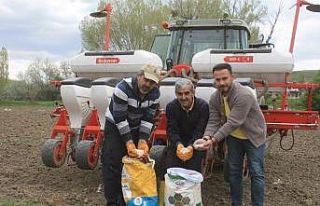 Yozgat’ta 5 çeşit kuru ve yeşil fasulye deneme...
