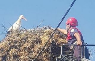 Yuvasından düşen yavru leyleğin imdadına itfaiye...