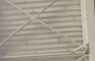 Yüzücüler Kayseri’den Madalyalarla döndü