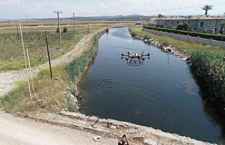ZİHA’ların hedefinde sivrisinekler var