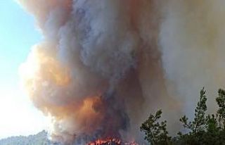 19 saattir alev alev yanıyor