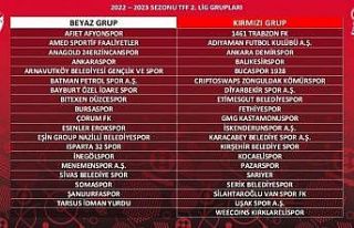 24 Erzincanspor Beyaz Grup’ta mücadele edecek