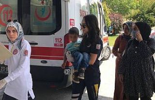 3 yaşındaki çocuğu kene ısırdı, ailesi eliyle...