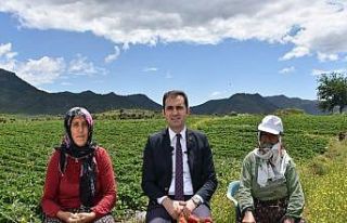 4 aile ile başlandı devlet desteğiyle 400 aileye...