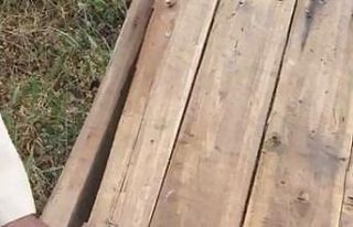 76 yaşındaki Akif Amca, yavru kargayı bebek gibi...