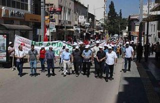 81 İlde 81 Milyar Adım" etkinliği düzenlendi