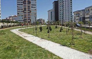 ABB ‘Yeşil Başkent’ hedefi için adım adım...