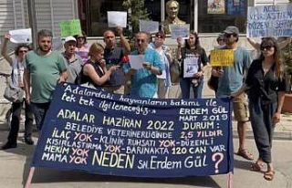 Adalar Belediyesi önünde hayvanseverlerden eylem