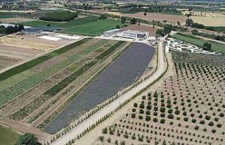 A’dan Z’ye aromaterapi BAÇEM’de konuşulacak