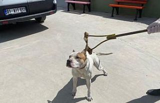 Adana’da 6 ayda 80 kişiye 549 bin 613 lira yasaklı...