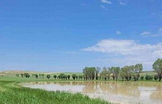 Afyonkarahisar’da ekili tarım arazileri zarar gördü