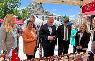 Afyonkarahisar’da el sanatları teknoloji sergisi