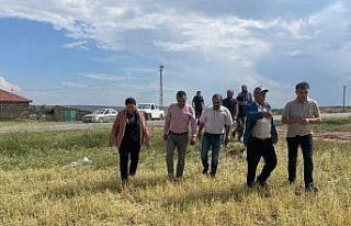 AK Parti’li Ünsal: "CHP siyasi kurnazlık...