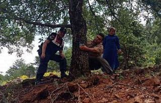 Aladağlar Milli Parkına fotokapan desteği