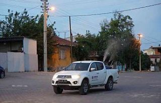 Altıeylül’den ilaçlama seferberliği