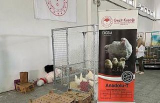 ‘Anadolu-T’, Tarla Günü’nde görücüye çıktı