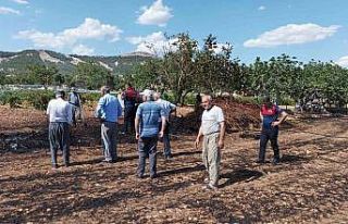 Anız yangınında 15 ton saman kül oldu