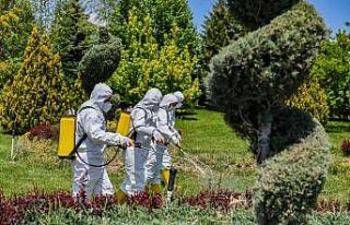 Ankara Büyükşehir Belediyesi vektörle mücadelede...