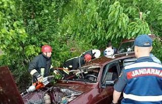 Anne ve bebeğinin ölümüne neden olan sürücü...