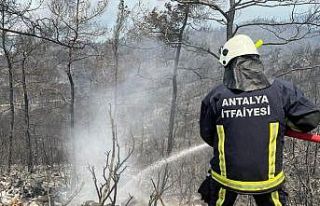 Antalya Büyükşehir İtfaiyesi’ne Marmaris yangınında...