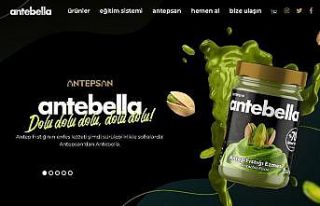 Antepsan’ın web adresi Altın Örümcek’te finalde