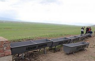 Ardahan Belediyesi, hayvanlar için sıvat üretti