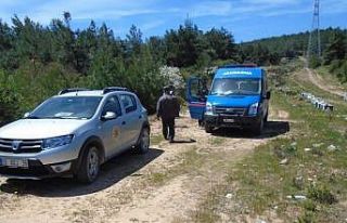 Arıcılar Aydın’da ayılardan değil hırsızlardan...