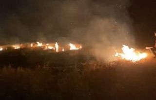 Arpa tarlasında çıkan yangın korkuttu